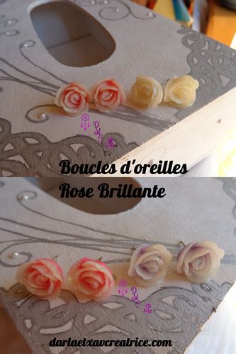 BOUCLES D OREILLES ROSE BRILLANTE